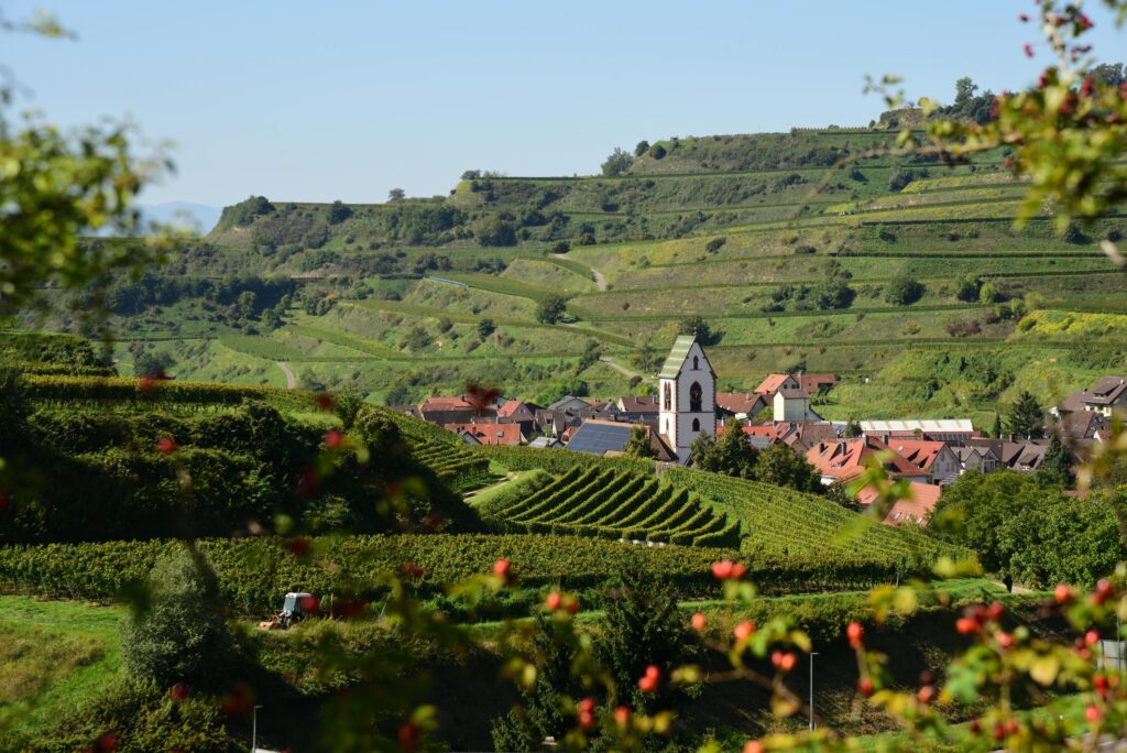 Digitale Bildung – Warum Lernen heute nicht mehr nur im Klassenzimmer stattfindet